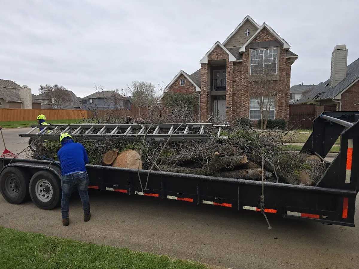 Expert Lot Clearing with proper safety equipment in Manitou